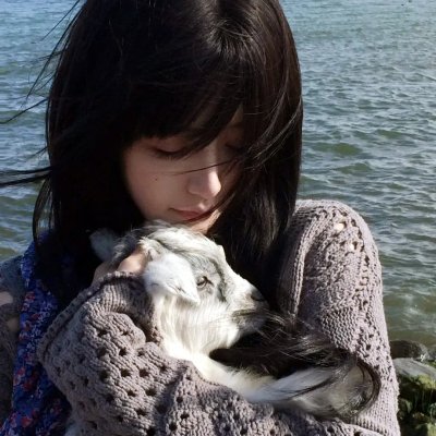 宇宙护卫队之超甲恐龙队